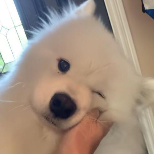 สมาชิกหมายเลข 3788273