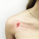 สมาชิกหมายเลข 4183531