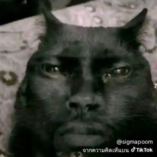 สมาชิกหมายเลข 7899613