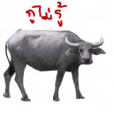 สมาชิกหมายเลข 3669422