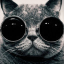 สมาชิกหมายเลข 3951652