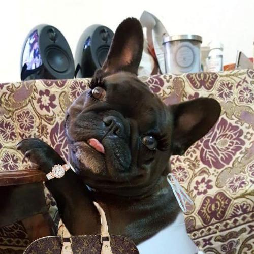 สมาชิกหมายเลข 4588677