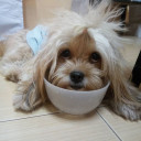 สมาชิกหมายเลข 1509093