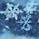 สมาชิกหมายเลข 5332784