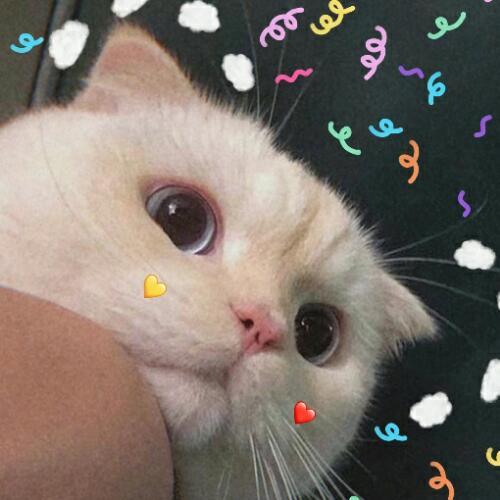 สมาชิกหมายเลข 5332820