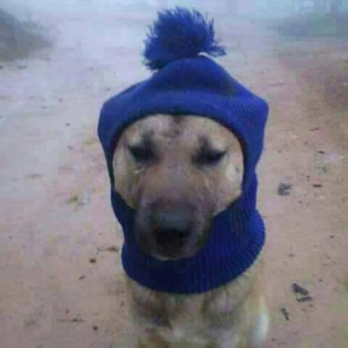 สมาชิกหมายเลข 1152560