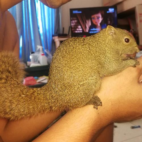 สมาชิกหมายเลข 3517600