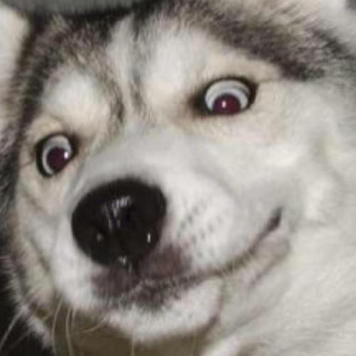 สมาชิกหมายเลข 4220965