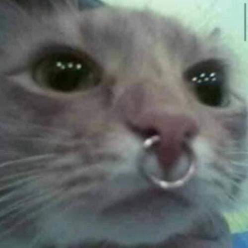 สมาชิกหมายเลข 6404764