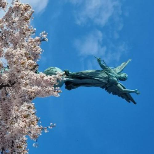 สมาชิกหมายเลข 1075292