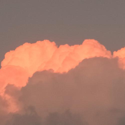 สมาชิกหมายเลข 5538388