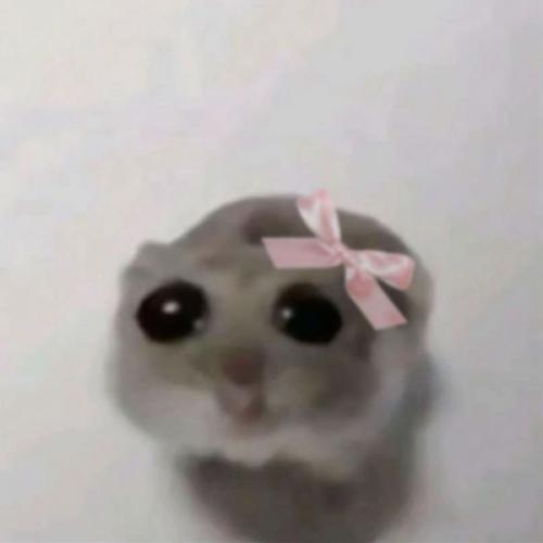 สมาชิกหมายเลข 8884490