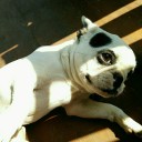 สมาชิกหมายเลข 2903585