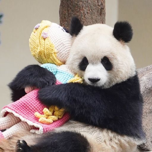 สมาชิกหมายเลข 2579793