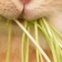 สมาชิกหมายเลข 3282800