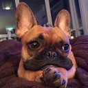 สมาชิกหมายเลข 3977027