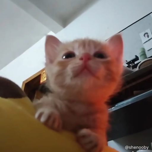 สมาชิกหมายเลข 5819881