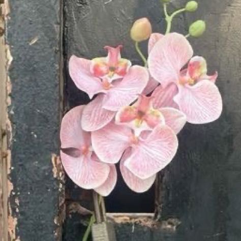 สมาชิกหมายเลข 9273094