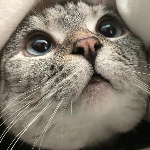 สมาชิกหมายเลข 2847586