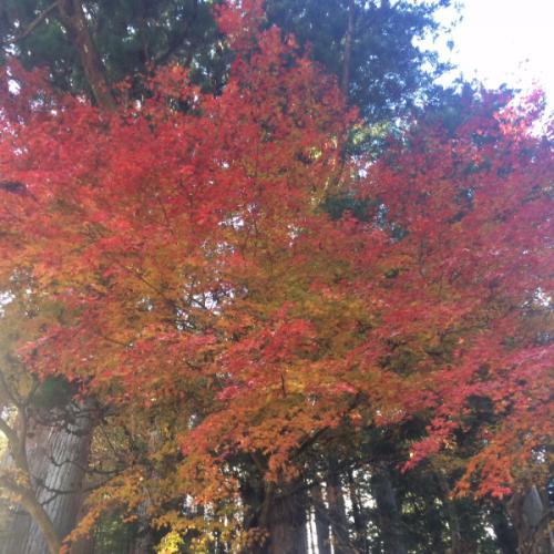 สมาชิกหมายเลข 4574264