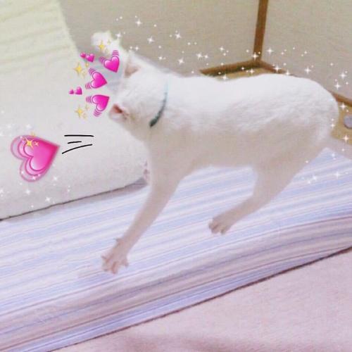 สมาชิกหมายเลข 3066620