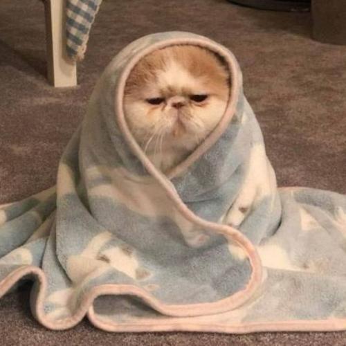 สมาชิกหมายเลข 5797484