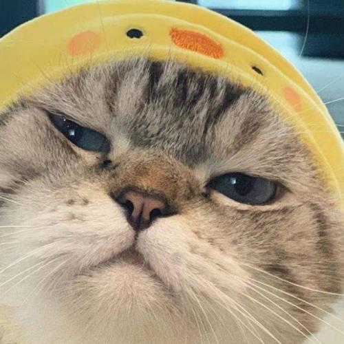 สมาชิกหมายเลข 4413884