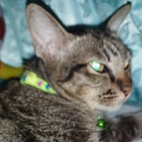 สมาชิกหมายเลข 7400025