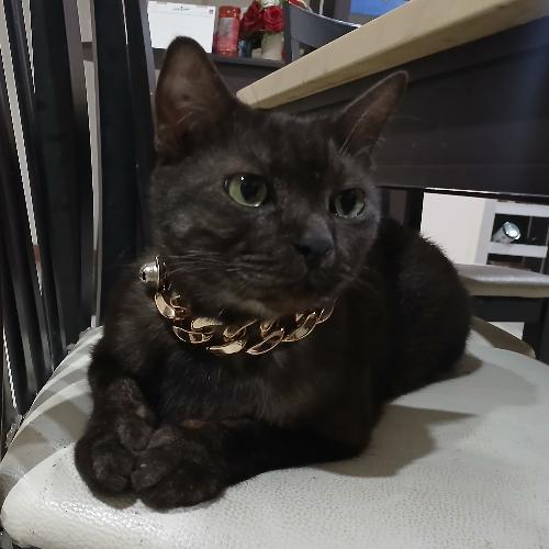 สมาชิกหมายเลข 8878756