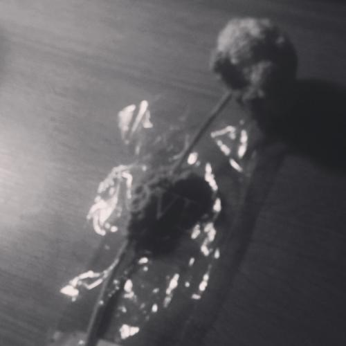 สมาชิกหมายเลข 8884856