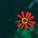 สมาชิกหมายเลข 3754960