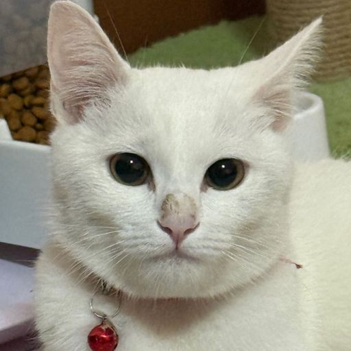 สมาชิกหมายเลข 6093947