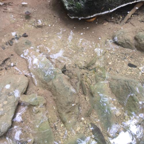 สมาชิกหมายเลข 1095961