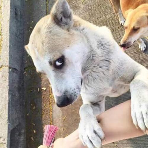 สมาชิกหมายเลข 4376423