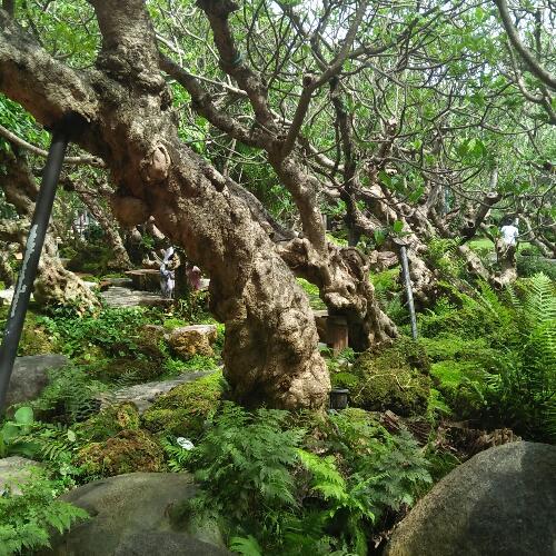 สมาชิกหมายเลข 4581315