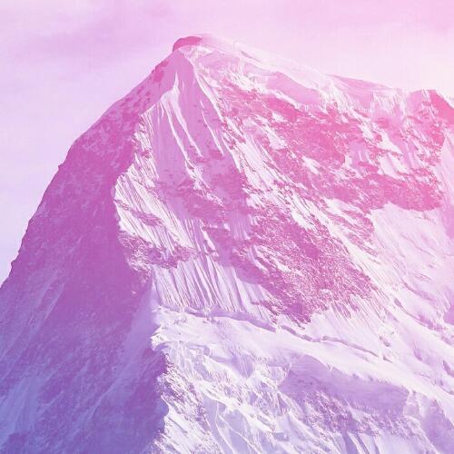 สมาชิกหมายเลข 4588889