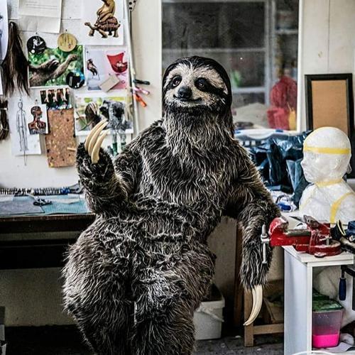 สมาชิกหมายเลข 4589207