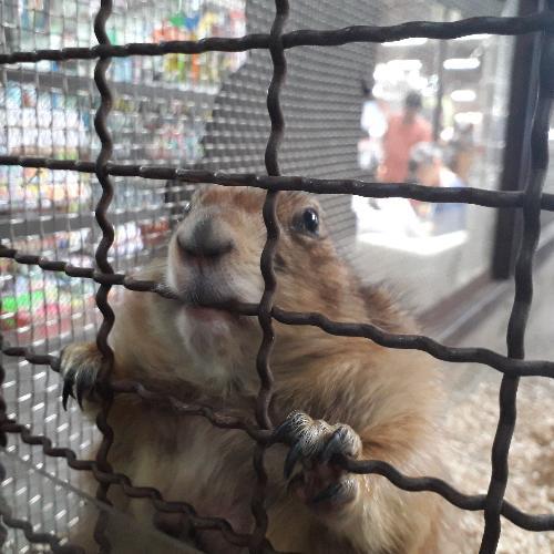 สมาชิกหมายเลข 2800757