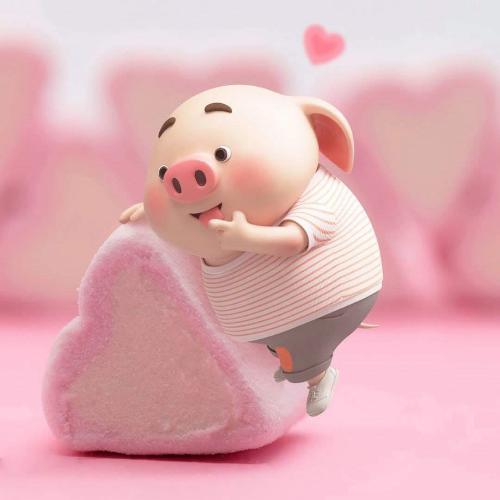 สมาชิกหมายเลข 5333397