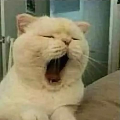 สมาชิกหมายเลข 5333526