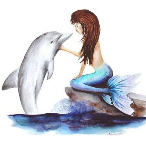 สมาชิกหมายเลข 5566282