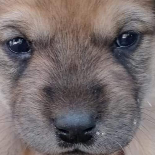 สมาชิกหมายเลข 6406224