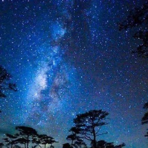 สมาชิกหมายเลข 6406271