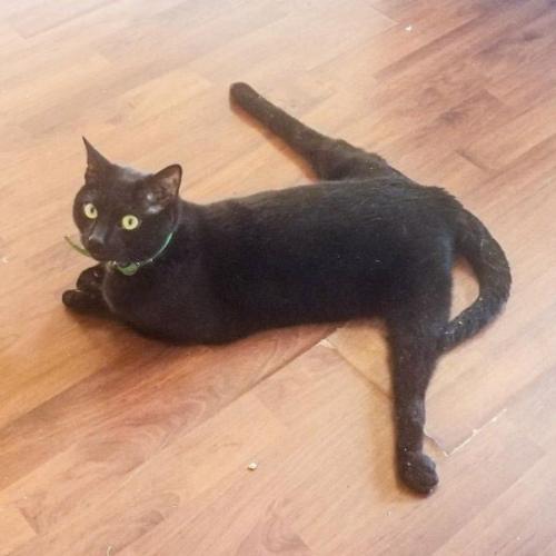 สมาชิกหมายเลข 5596435