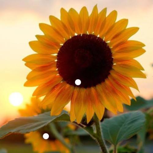 สมาชิกหมายเลข 7875224