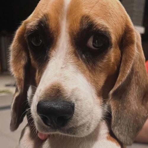 สมาชิกหมายเลข 7876010