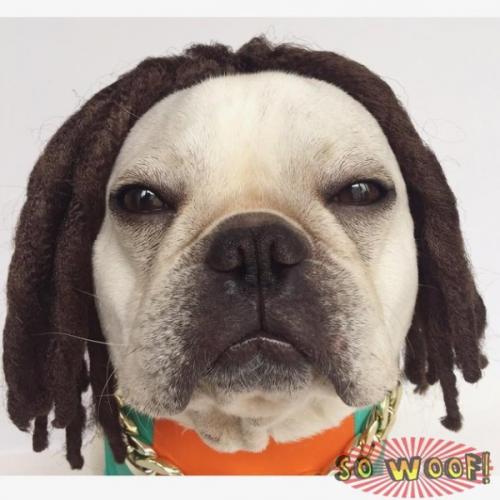 บุรุษเช่นข้าหาได้ยากยิ่ง