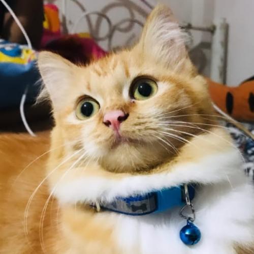 สมาชิกหมายเลข 8717925