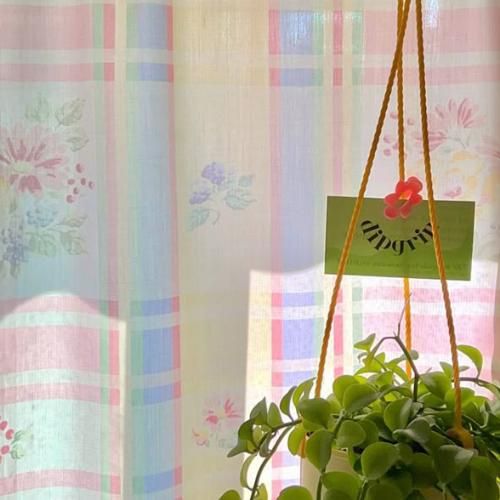 สมาชิกหมายเลข 7210294