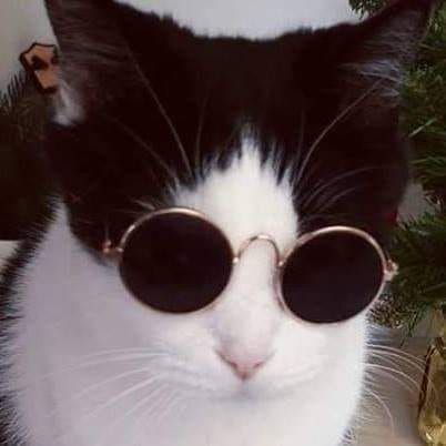 สมาชิกหมายเลข 8068644